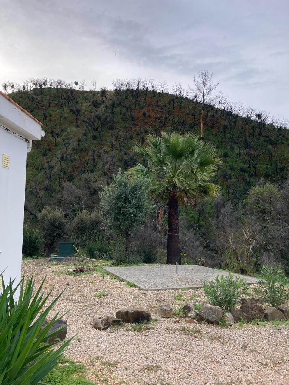 Oleiro De Cima Villa Sao Teotonio Exterior photo